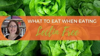 Lectin Free Foods What to Eat When Eating Lectin Free [upl. by Obed]