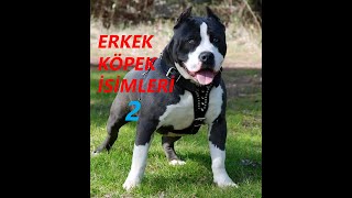 ERKEK KÖPEK İSİMLERİ EN GÜZEL [upl. by Letti445]