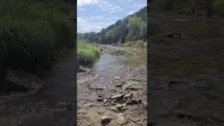 A beautiful soundtrack river paluxy outdoors dinosaurvalley texas peaceful watersounds [upl. by Lamberto]