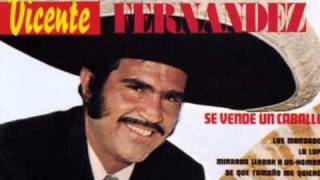 Vicente Fernandez De Que Tamaño Me Quieres [upl. by Anailil]