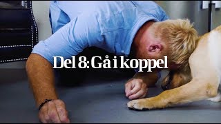 Agrias Valpskola Gå i koppel Del 8 [upl. by Eberhart]