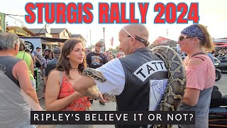 STURGIS Rally 2024 You Have to SEE it to BELIEVE it [upl. by Yatnod]