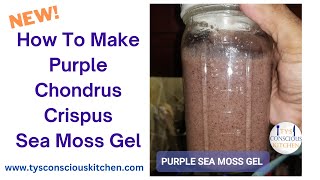 How To Make Purple Chondrus Crispus Sea Moss Gel Tutorial Dr Sebi Recommended [upl. by Kempe363]