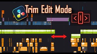 STOP selecting multiple Clips  DaVinci Resolve Tutorial  1 Minute [upl. by Turpin]