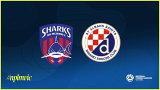 2024 NPLMVIC Round 1 Port Melbourne Sharks SC v St Albans Saints SC [upl. by Esinert]