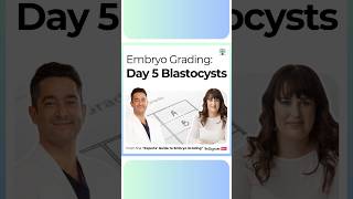 How Embryos are Graded Day 5 Blastocysts [upl. by Kappel120]