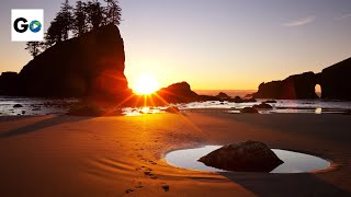 Olympic National Park [upl. by Jezrdna782]