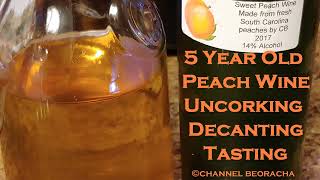 5 Year Old Peach Wine Uncorking Decanting Tasting [upl. by Onibas]