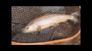 East Branch of the Croton River  Winter Trout Fishing [upl. by Sura]