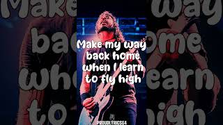 Foo Fighters  Learn To Fly Lyrics [upl. by Stargell]