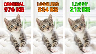 What Is the Difference in Lossy vs Lossless Compression [upl. by Quintilla]