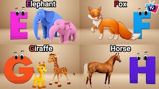 Animals ABC Song  Animals Alphabet Song for Kids  Phonics for Kids  Alphabet Letters [upl. by Rouvin]