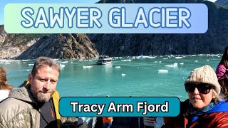 Tracy Arm Fjord  Is the Small Boat Excursion worth the money YES [upl. by Durrett]