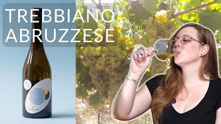 TREBBIANO ABRUZZESE An Uncommon White Wine Grape to Get to Know [upl. by Gnah]