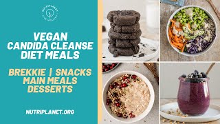 Vegan Candida Cleanse Diet Recipes and Meals for a Day [upl. by Ylrebmic]