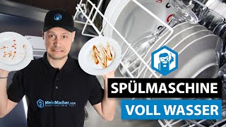 Wasser steht in der Spülmaschine  Ablauf Sieb und Pumpenrad kontrollieren  MeinMacher [upl. by Hcirteid41]