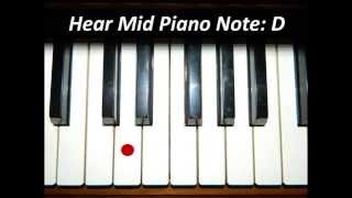 Hear Piano Note  Mid D [upl. by Goodson]