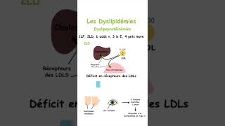 Retenez les Différentes Dyslipidémies sans Effort grâce à cette Méthode Mnémotechnique shorts [upl. by Anaahs]