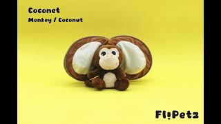 Coconet le singenoix de coco  Flipetz [upl. by Henni]