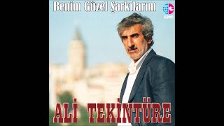 ALİ TEKİNTÜRE  BAHARI BEKLEYEN KUMRULAR GİB [upl. by Helbonnah]