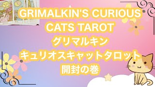 GRIMALKINS CURIOUS CATS TAROT開封グリマルキンキュリオスキャットタロットの巻😻 [upl. by Assirk]