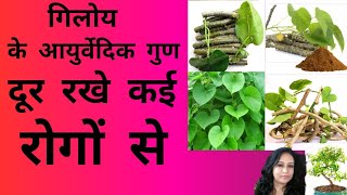 Giloy The Ayurveda Super Herb You Never Knew About [upl. by Emmerie]