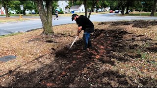 NEIGHBOR was BEATING on Their DOG  While I was UNCOVERING this 120 YEAR OLD HIDDEN SIDEWALK [upl. by Aynav719]