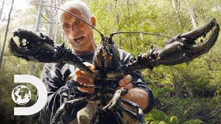 Jeremy Wade Finds Giant Crayfish  Jeremy Wades Dark Waters [upl. by Hahnke901]