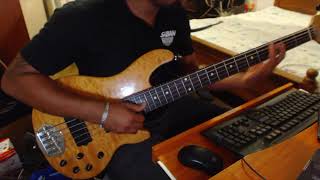 Lakland Skyline Deluxe 5502 Bass Review [upl. by Haridan]