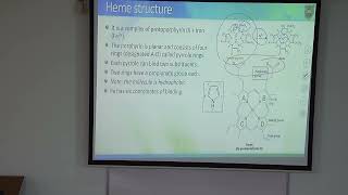 Myoglobin and hemoglobin الميوجلوبين والهيموجلوبين [upl. by Monique]