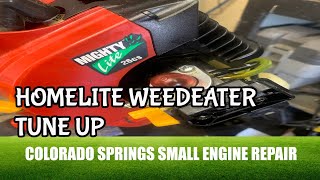 Homelite Weed Eater Wont Start [upl. by Ahsal125]