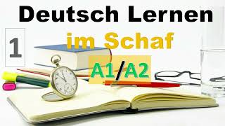 Dialoge Deutsch lernen im Schlaf amp Hören N1  Niveau A1 Deutsch Intensivkurs [upl. by Evelunn]