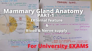 Mammary gland anatomy external feature  Breast anatomy external feature  Mammary gland 3d anatomy [upl. by Cheshire]