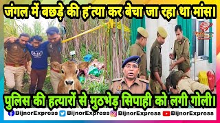 Bijnor News  बिजनौर में जंगल में बछड़े की हत्या कर बेचा जा रहा था मांस। [upl. by Etram]