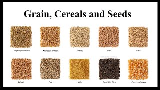 Grain Cereals and Seeds [upl. by Det]