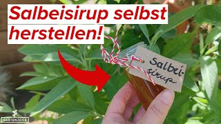 Salbeisirup selbst herstellen  ideal für die Erkältungszeit [upl. by Lannie112]