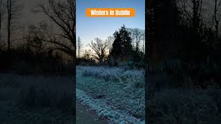 Winter in Dublin dublin ireland travel indiansinireland winter r [upl. by Aisyle]