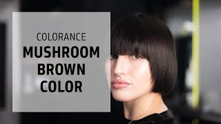 Deep Mushroom Brown Hair Coloring Technique  Colorance  Goldwell Education Plus [upl. by Nicolais443]