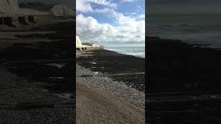 Shingle and Seaweed [upl. by Roseline]