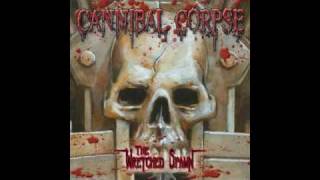 Cannibal Corpse  Psychotic Precision [upl. by Ola]