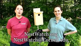 How to Install a Nest Box [upl. by Attekahs]