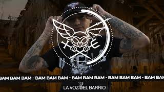 BAM BAM LAVOZDELBARRIO [upl. by Carpenter]