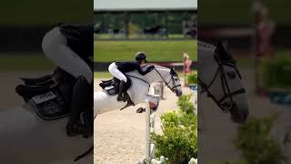 gallop equestrian galop edit gallopinghorse jumping jumpinghorse showjumping riding [upl. by Tomasine]