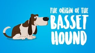 The Origin of the Basset Hound Animation [upl. by Encratis]