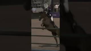 Henrik 🇸🇪 eckermann horse equestrian showjumpers jumper keepfightingliz [upl. by Wistrup]