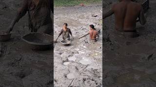 Amazing village woman catching huge catfish by hand in deep Mudd fishing catfish fish shorts [upl. by Atinele760]