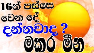 ලග්න පලාඵල 2024  Sun transit in Cancer  2024 Capricorn  2024 Pisces  StarGuider [upl. by Utica106]