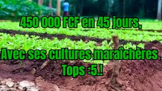 5 CULTURES maraîchère RENTABLE  450 000 fcf  mois  culture maraîchère rentable [upl. by Kovar]