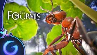 LES FOURMIS  Gameplay FR [upl. by Dranyar]