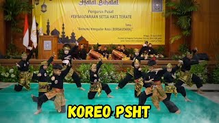 ATRAKSI PENCAK SILAT PSHT [upl. by Attebasile]